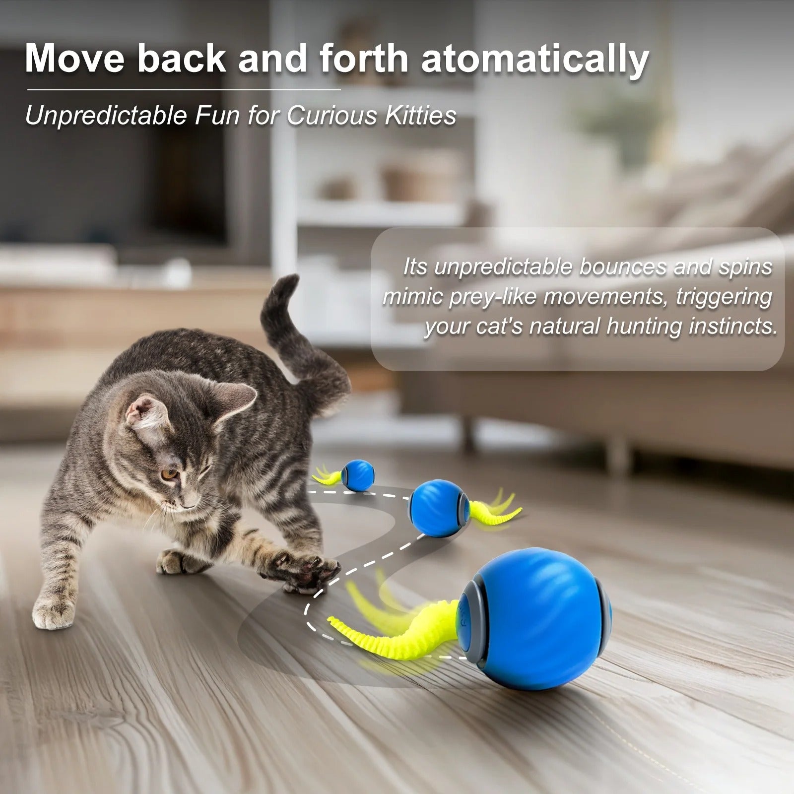 Interactive Cat Toys for Indoor Cats – Smart Automatic Rolling Ball with Rechargeable Battery, Adjustable Two-Speed Settings, Feather Accessory for Bored Adult Cats & Kittens, 2-Pack Blue and Orange