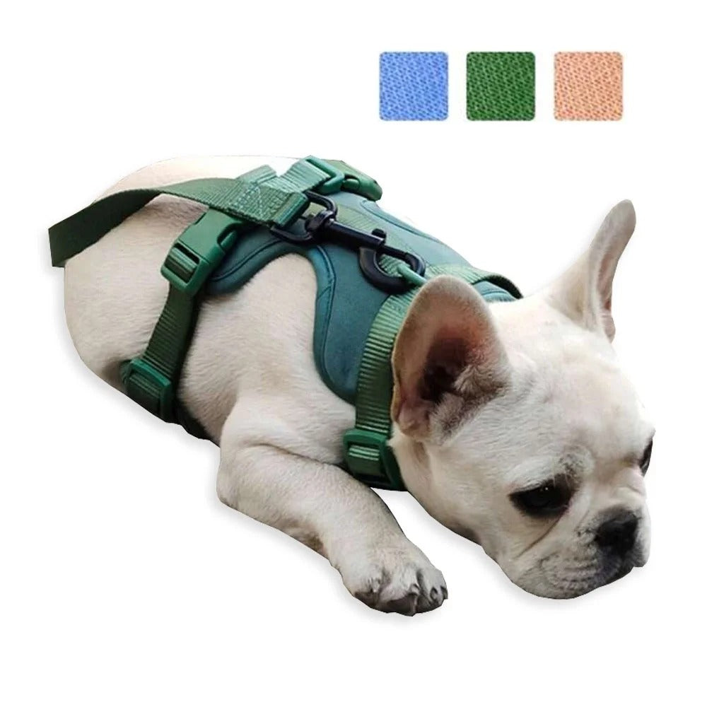Adjustable No Pull Dog Harness with Leash and Poop Bag Holder Set, Soft Padded Vest Harness for Small Medium Large Dogs, Outdoor Walking Training Harness in Forest Green (Large)
