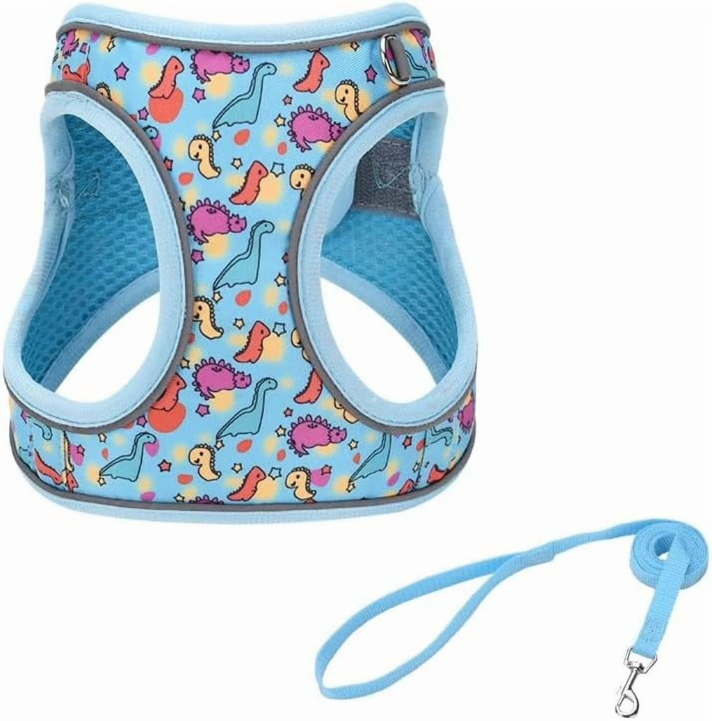 XXS Adjustable No Escape Dog Harness and Leash Set for Small Dogs and Cats, Breathable Mesh Puppy Vest with Dinosaur Pattern for Walking, Training & Daily Outdoor Use – Blue