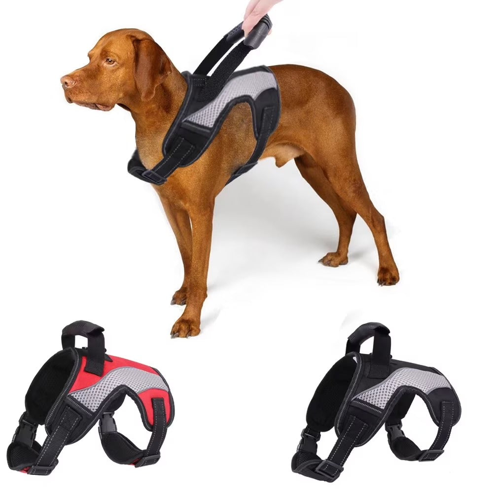 Escape Proof No Pull Dog Harness with Handle, Adjustable Soft Padded Vest Harness for Small Medium Large Dogs, Breathable Control Pet Harness for Walking Hiking Training