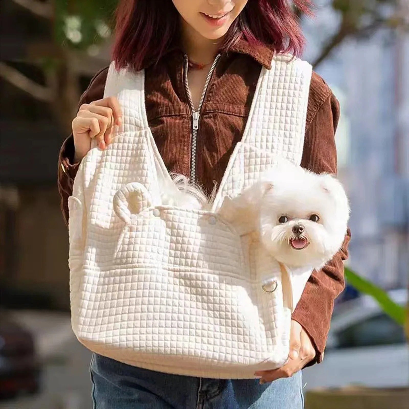 Adjustable Cloth Pet Carrier Backpack for Small Dogs and Cats, Front Chest Travel Bag with Breathable Mesh, Padded Interior, Lightweight and Ergonomic for Outdoor Walking and Travel, Beige, 41x38x14cm