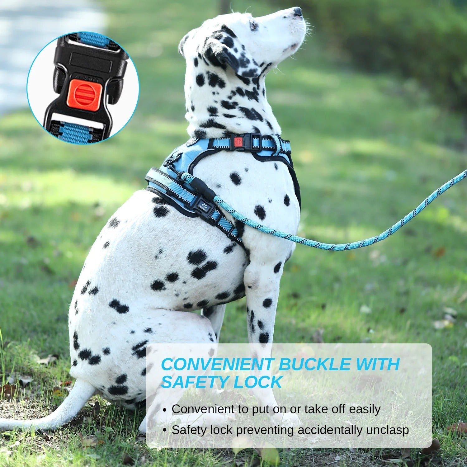 No Pull Dog Harness and Leash Set for Large Dogs, Reflective Adjustable Pet Vest with Soft Padded Cushion and Easy Control Handle, Durable Outdoor Walking and Training Harness, Blue