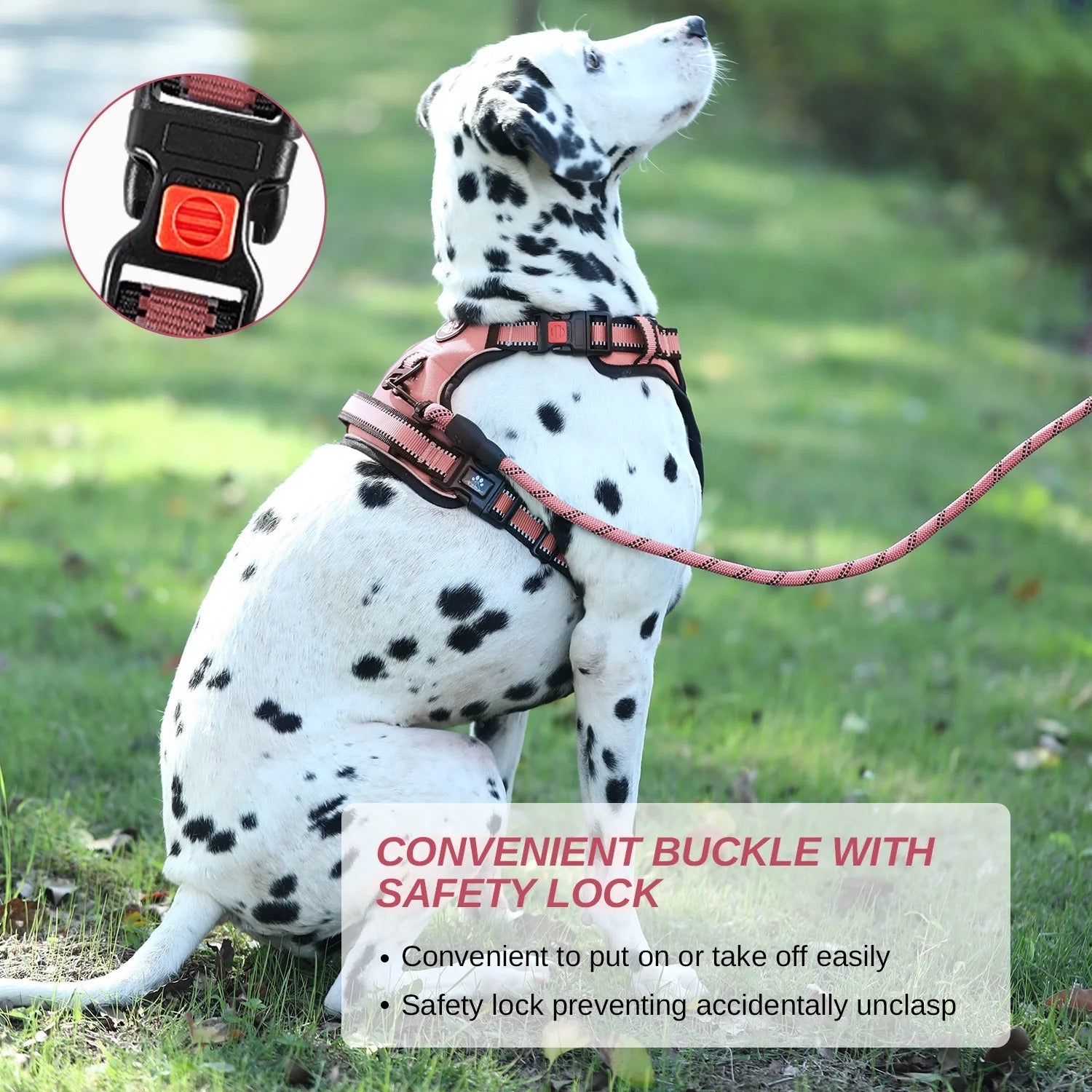 No Pull Dog Harness and Leash Set for Large Dogs, Reflective Adjustable Pet Vest with Soft Padded Cushion and Easy Control Handle, Comfortable Outdoor Walking and Training Dog Harness, Pink