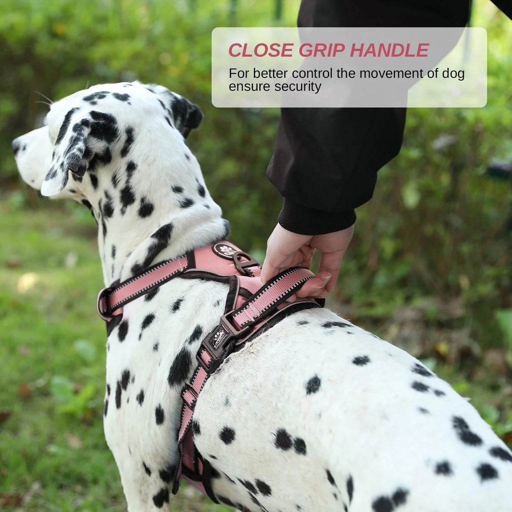No Pull Dog Harness and Leash Set for Large Dogs, Reflective Adjustable Pet Vest with Soft Padded Cushion and Easy Control Handle, Comfortable Outdoor Walking and Training Dog Harness, Pink