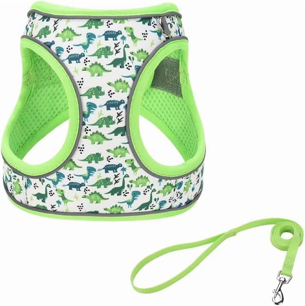 XXS Adjustable No Escape Dog Harness and Leash Set for Small Dogs and Cats, Breathable Mesh Puppy Vest with Dinosaur Pattern for Walking, Training & Daily Outdoor Use – Green