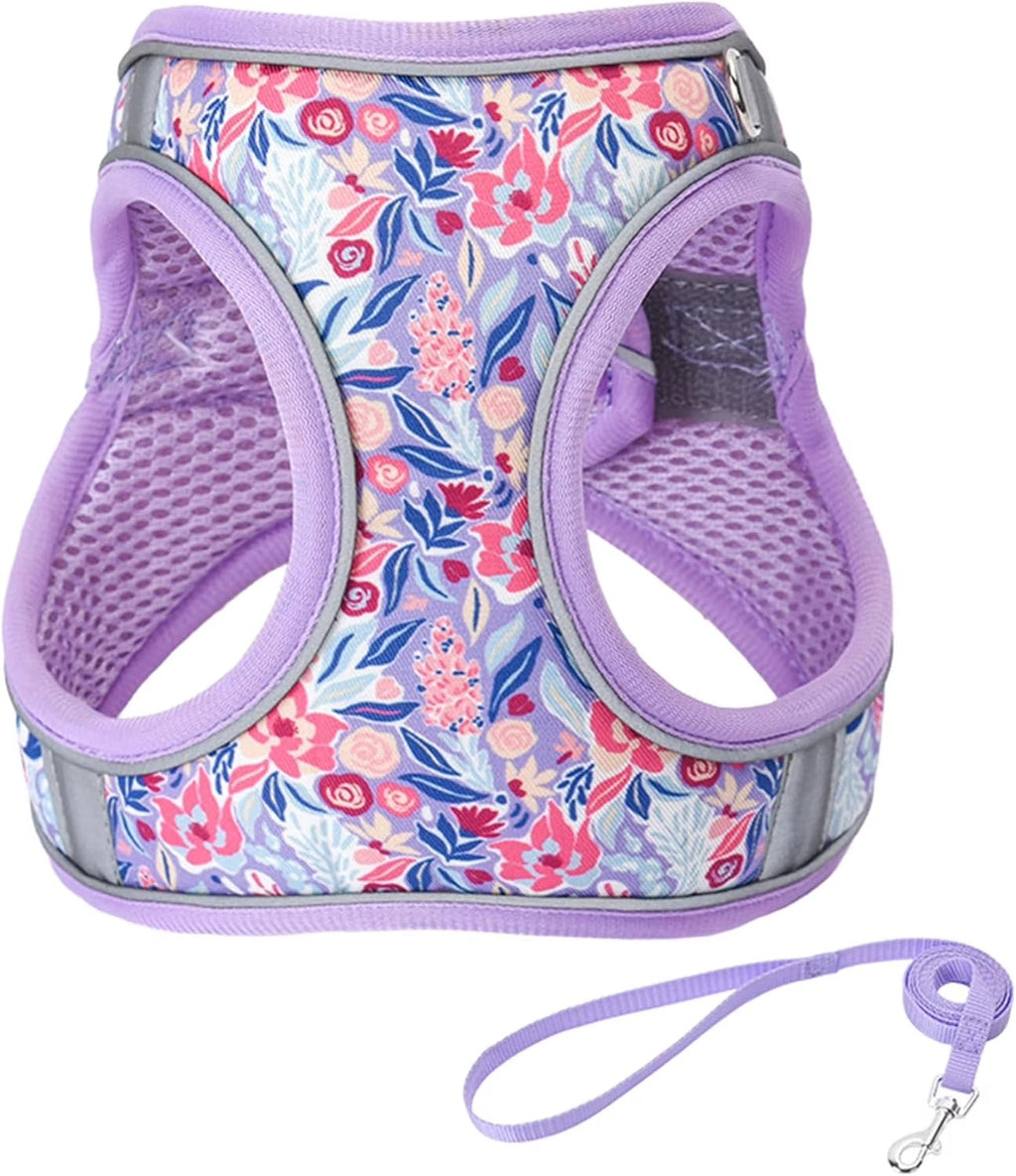 XS Adjustable No Escape Dog Harness and Leash Set for Small Dogs and Cats, Breathable Mesh Puppy Vest with Floral Pattern for Walking, Training & Everyday Outdoor Use – Light Purple