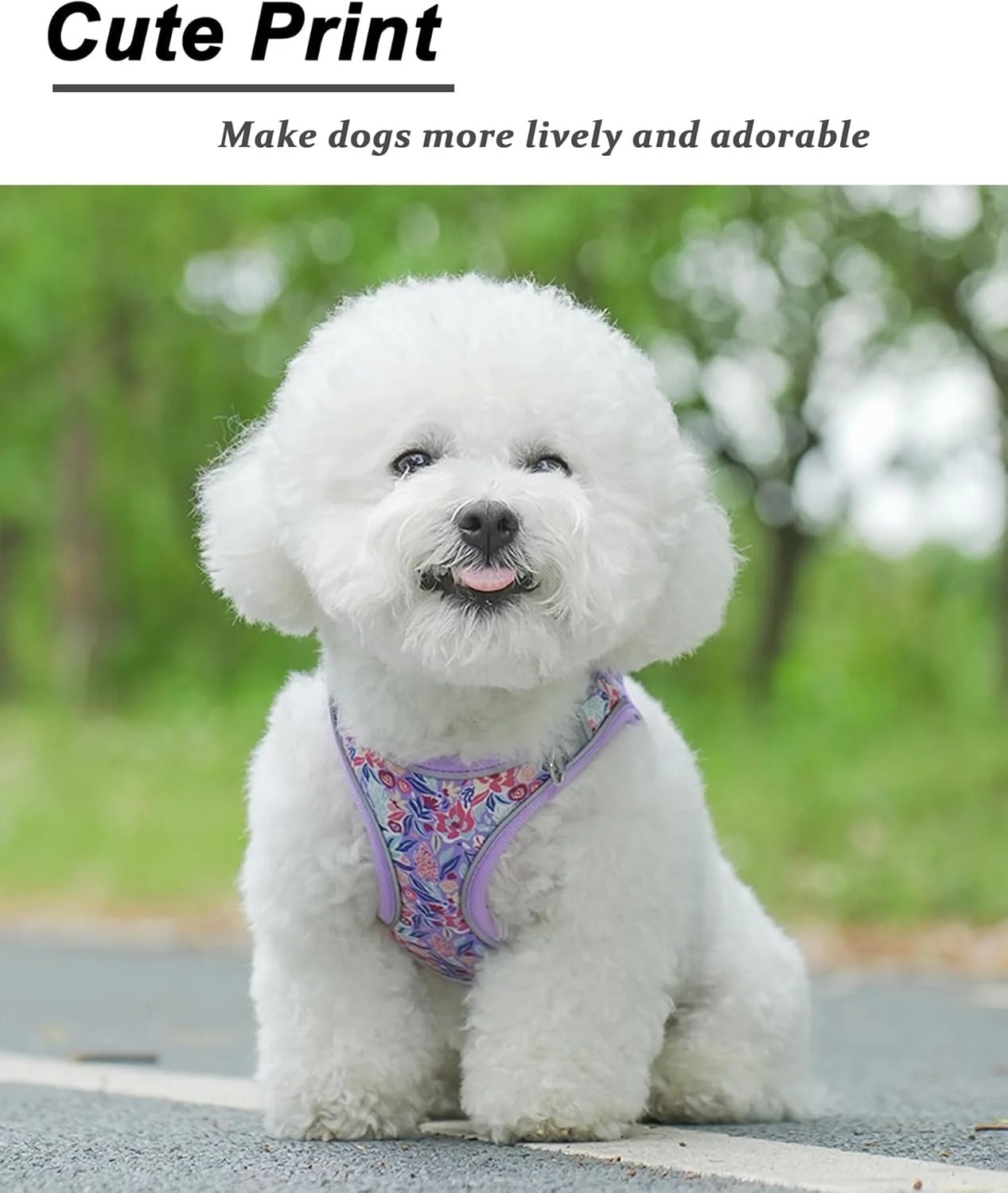 XS Adjustable No Escape Dog Harness and Leash Set for Small Dogs and Cats, Breathable Mesh Puppy Vest with Floral Pattern for Walking, Training & Everyday Outdoor Use – Light Purple