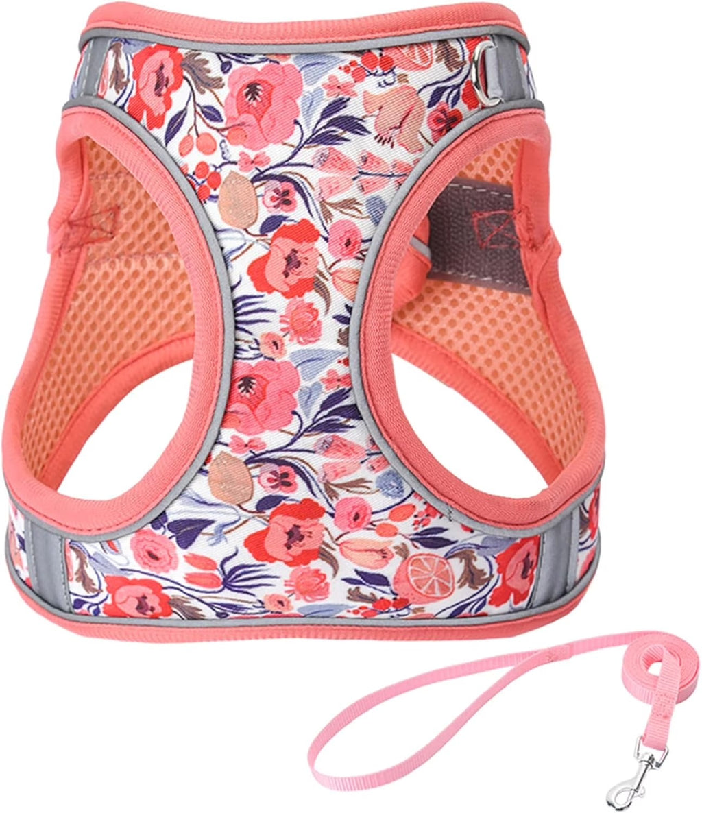 XS Adjustable No Escape Dog Harness and Leash Set for Small Dogs and Cats, Breathable Mesh Puppy Vest with Floral Pattern for Walking, Training & Daily Outdoor Use – Peach