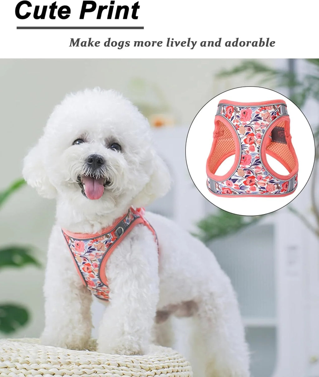 XS Adjustable No Escape Dog Harness and Leash Set for Small Dogs and Cats, Breathable Mesh Puppy Vest with Floral Pattern for Walking, Training & Daily Outdoor Use – Peach