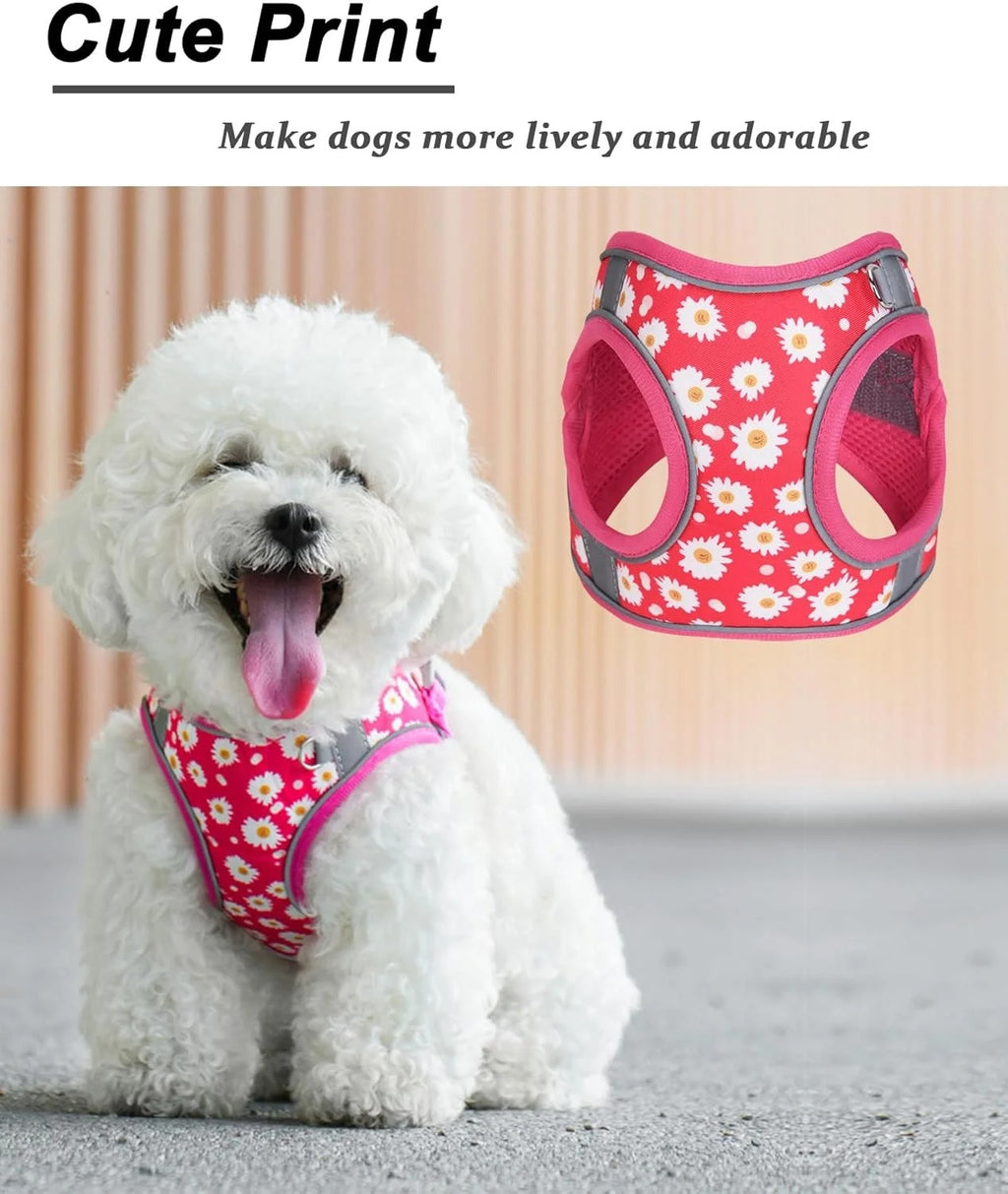 XS Adjustable No Escape Dog Harness and Leash Set for Small Dogs and Cats, Breathable Mesh Puppy Vest with Floral Rose Pattern for Walking, Training & Everyday Outdoor Activities – Roseo