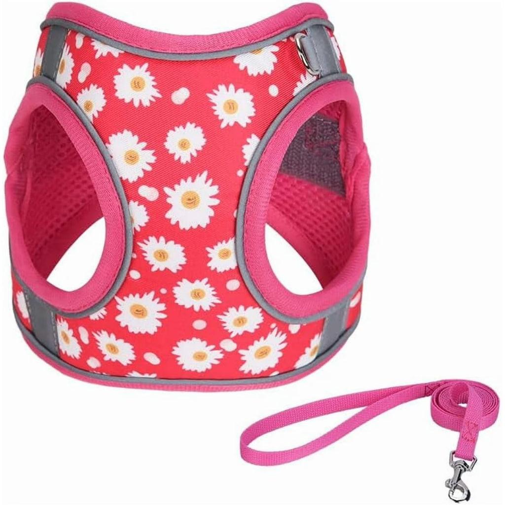 XS Adjustable No Escape Dog Harness and Leash Set for Small Dogs and Cats, Breathable Mesh Puppy Vest with Floral Rose Pattern for Walking, Training & Everyday Outdoor Activities – Roseo