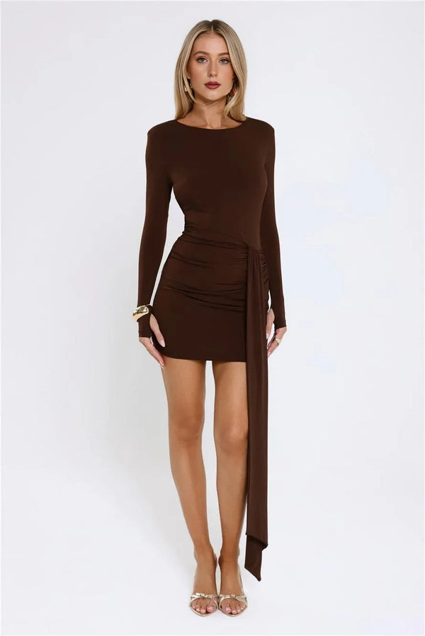 Styled To Thrill Long Sleeve Mini Dress Brown